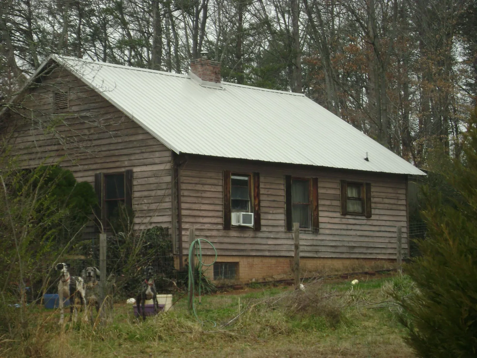 White metal roof on an old wood sided farmhouse, from a Asphalt Shingle Roof Repair job in White Salmon